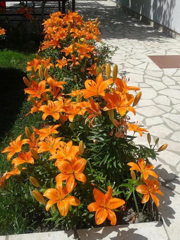 Apartment And Rooms Markovic Senj  Δωμάτιο φωτογραφία