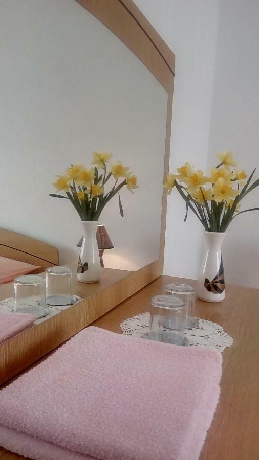 Apartment And Rooms Markovic Senj  Εξωτερικό φωτογραφία
