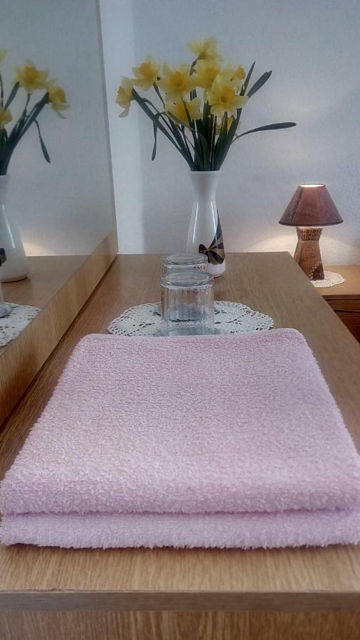 Apartment And Rooms Markovic Senj  Εξωτερικό φωτογραφία